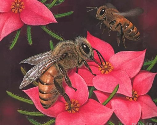 A Drawing Of A Bee On A Flower Painting By Numbers.png