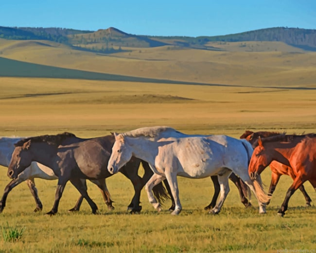 A Group Of Horses Walking Animals Painting By Numberss.png