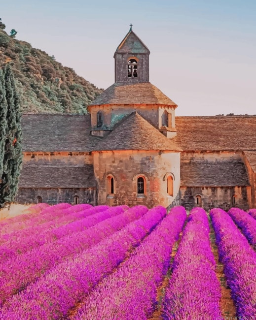 Abbaye Notre Dame De Senanque Painting By Numberss.png