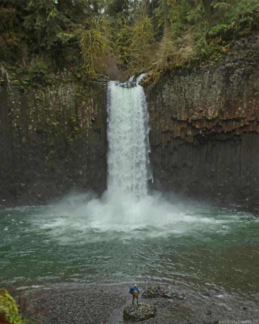 Abiqua Falls Nature Painting By Numberss.png
