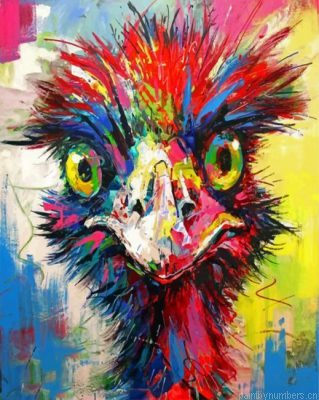 Abstract Colorful Emu Painting By Numbers.png