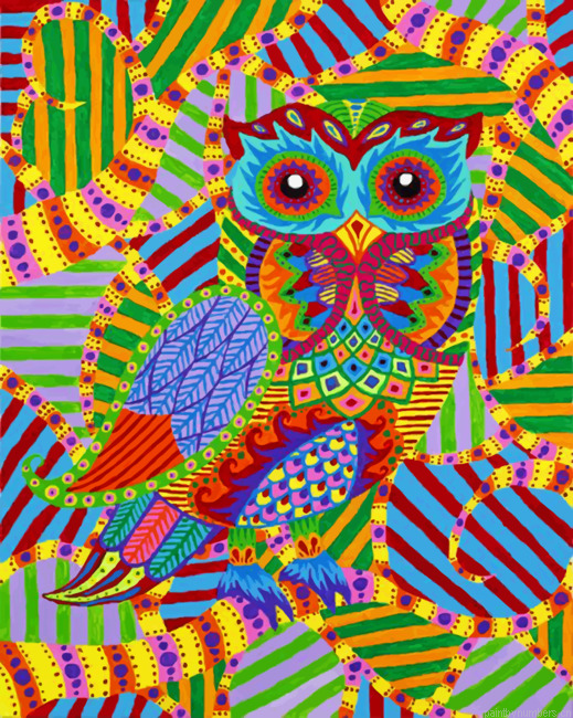 Abstract Colorful Owl Painting By Numberss.png