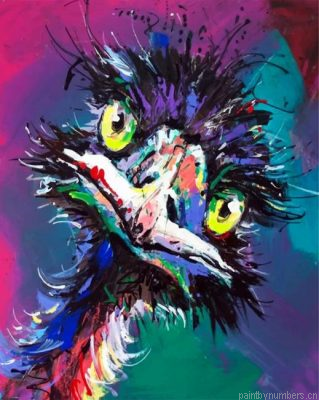 Abstract Emu Painting By Numbers.png