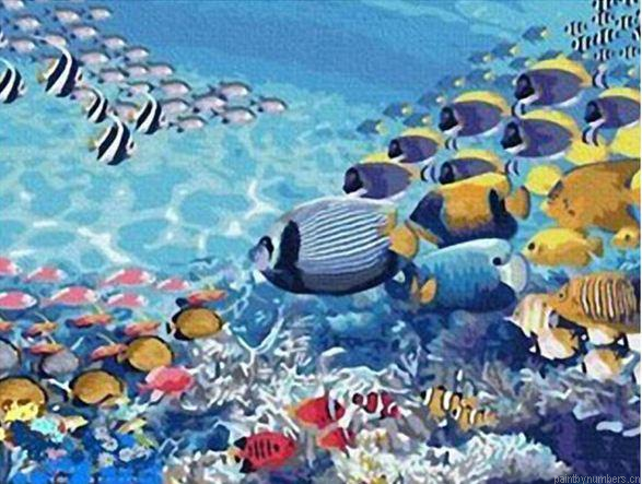 Abstract Fish Swimming Painting By Numbers.png