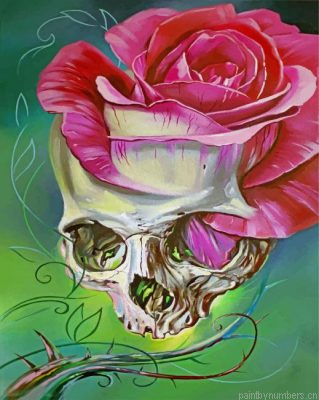 Abstract Floral Skull Painting By Numbers.png