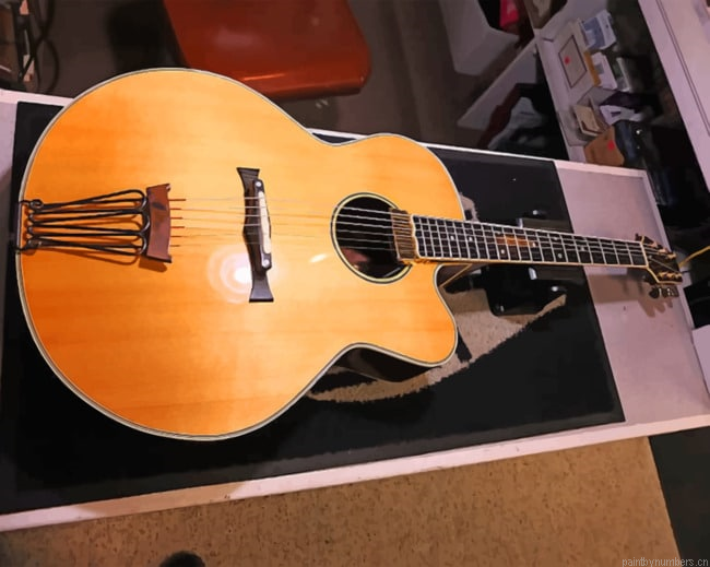 Acoustic Takamine Guitar Instruments Painting By Numberss.png