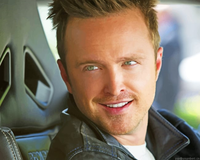Actor Aaron Paul Painting By Numberss.png