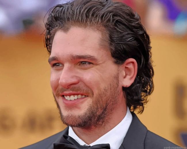 Actor Kit Harington Painting By Numberss.png