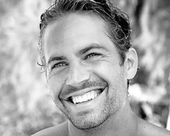 Actor Paul Walker Painting By Numberss.png