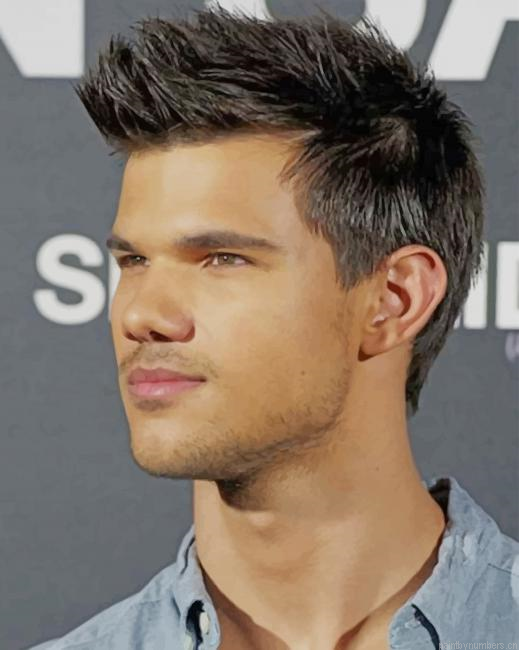 Actor Taylor Lautner Painting By Numberss.png