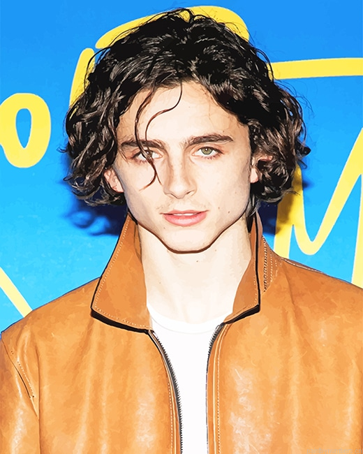 Actor Timothee Painting By Numberss.png
