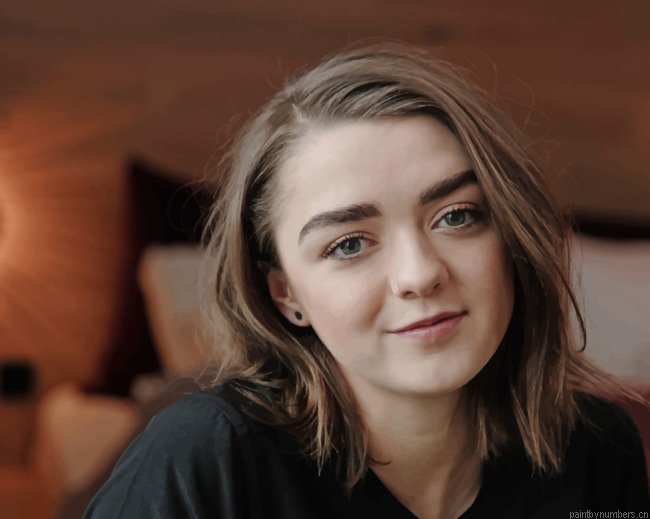 Actress Maisie Williams Painting By Numberss.png