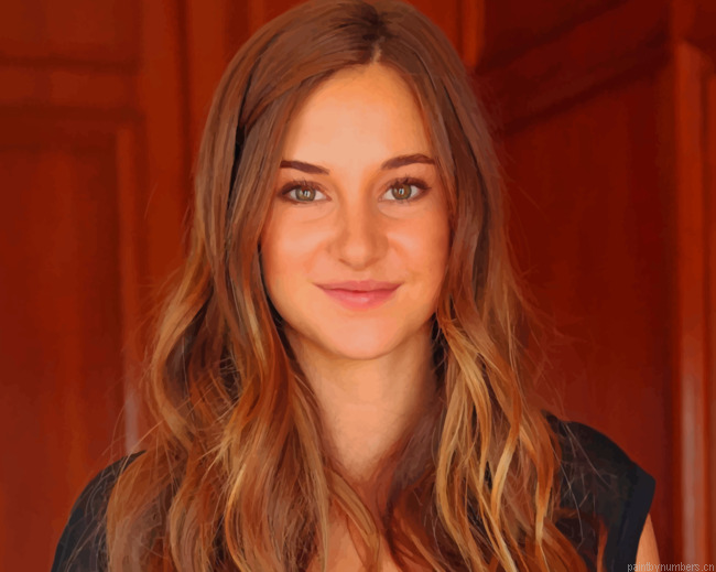 Actress Shailene Woodley Painting By Numberss.png