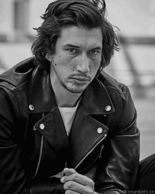 Adam Douglas Driver Painting By Numbers.png
