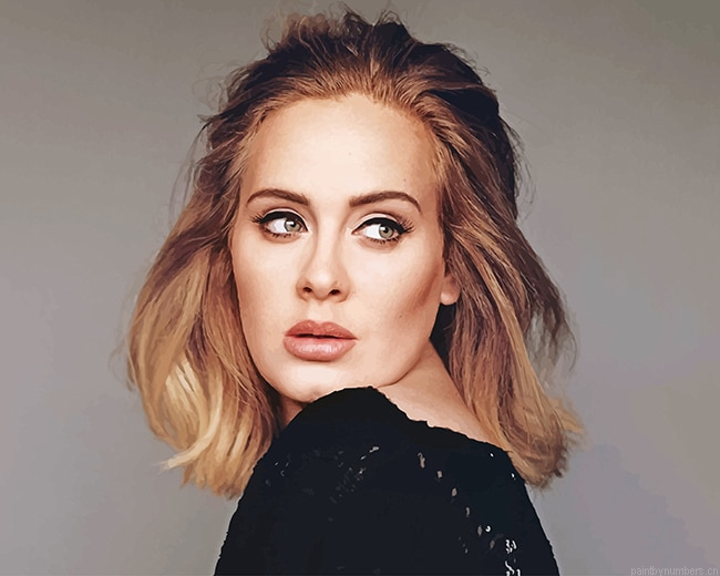Adele Wearing Black Singers Painting By Numbers.png