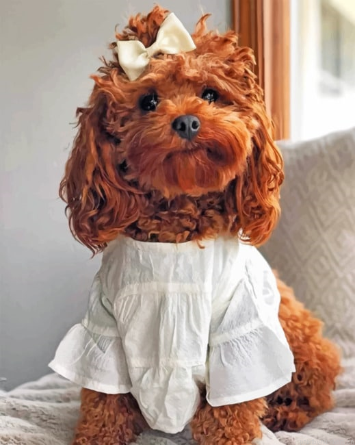 Adorable Cockapoo Painting By Numberss.png