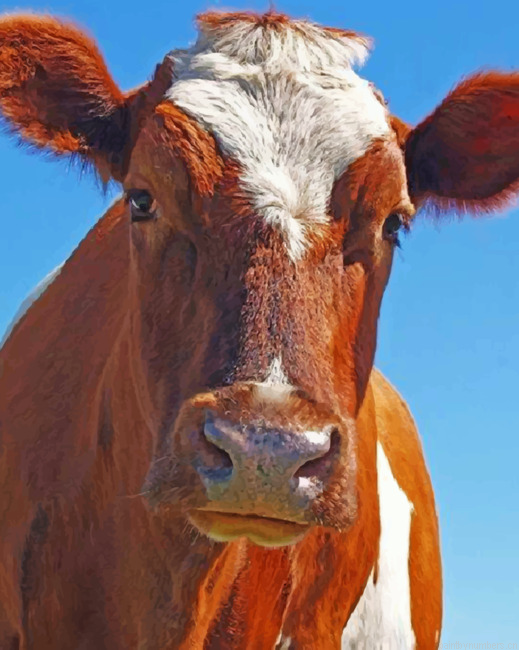 Adorable Cow Animals Painting By Numberss.png