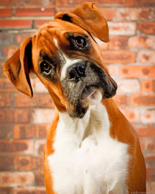 Adorable Dog Animals Painting By Numberss.png