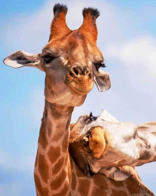 Adorable Giraffes Animals Painting By Numberss.png