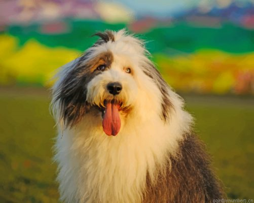 Adorable Old English Sheepdog Painting By Numbers.png