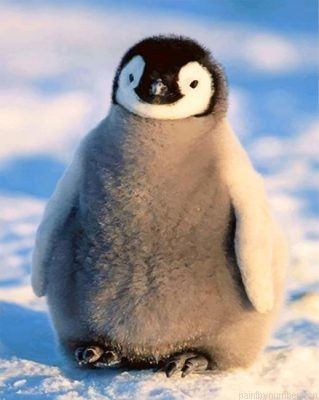 Adorable Penguin Painting By Numbers.png