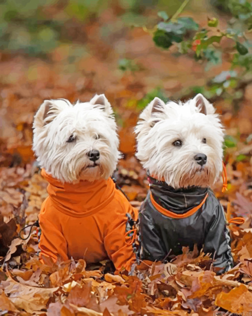 Adorable Westie Dogs Painting By Numbers.png