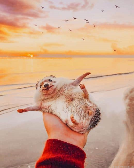 Adventurous Hedgehog Animals Painting By Numberss.png
