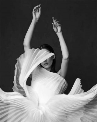 Aesthetic Ballerina Painting By Numbers.png