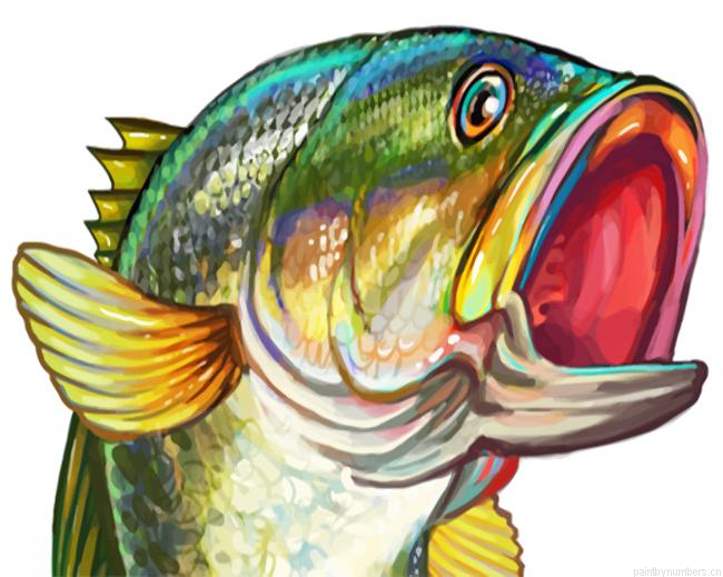 Aesthetic Bass Fish Painting By Numberss.png