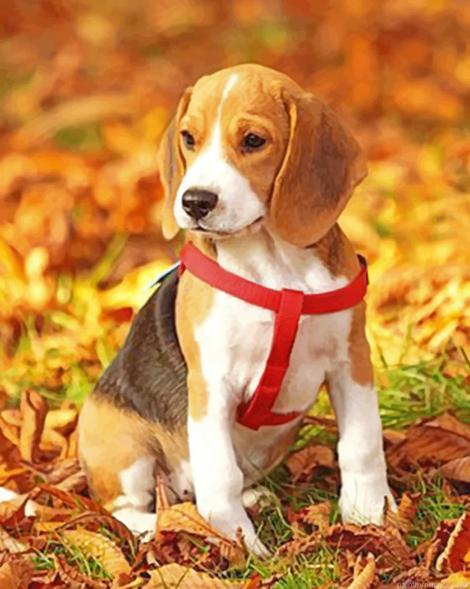 Aesthetic Beagle Puppy Painting By Numberss.png