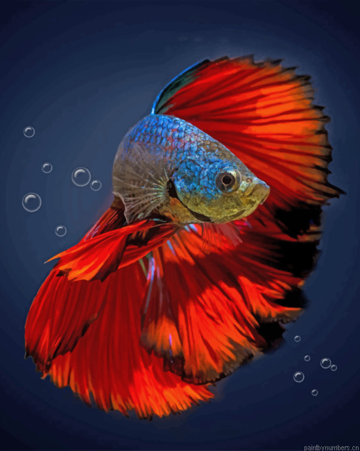 Aesthetic Betta Fish Painting By Numbers.png