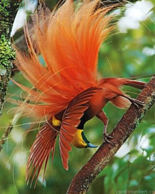 Aesthetic Bird Of Paradise Painting By Numbers.png