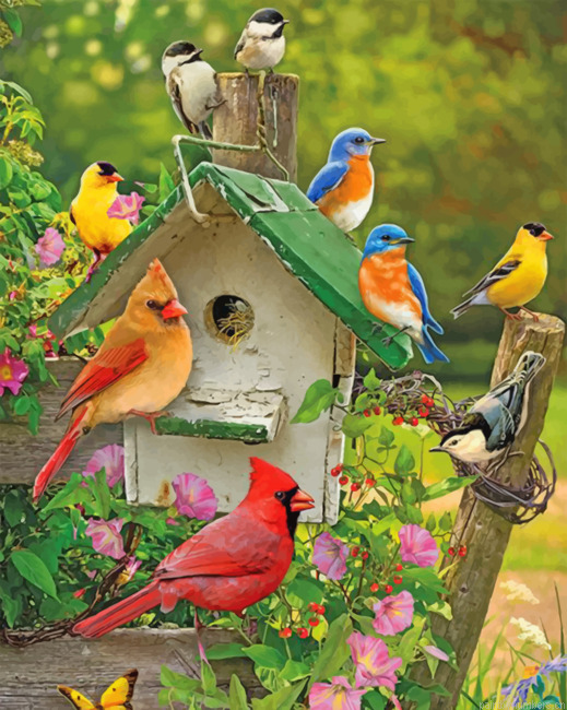 Aesthetic Birds Painting By Numberss.png