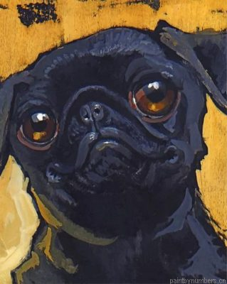 Aesthetic Black Pug Painting By Numbers.png