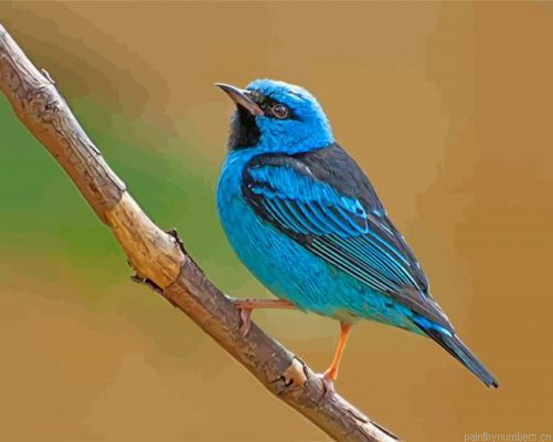 Aesthetic Blue Bird Painting By Numbers.png