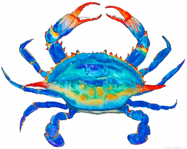 Aesthetic Blue Crab Painting By Numbers.png
