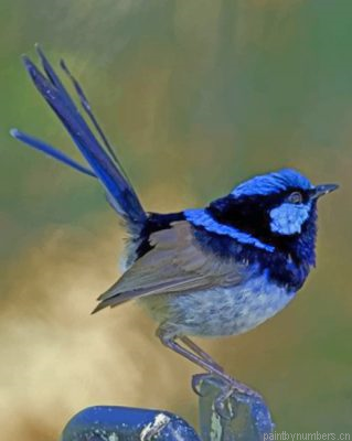 Aesthetic Blue Wren Painting By Numbers.png
