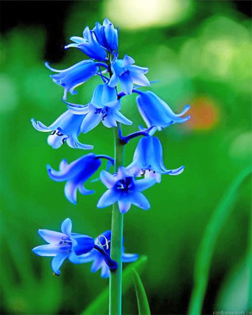 Aesthetic Bluebells Painting By Numbers.png