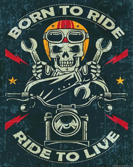Aesthetic Born To Ride Painting By Numberss.png