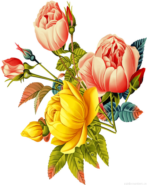 Aesthetic Botanical Flowers Painting By Numberss.png