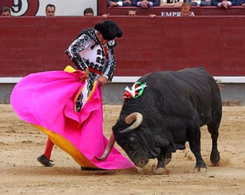 Aesthetic Brave Bullfighter Painting By Numbers.png