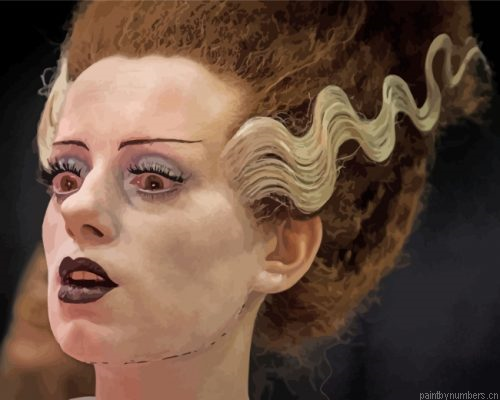 Aesthetic Bride Of Frankenstein Painting By Numbers.png