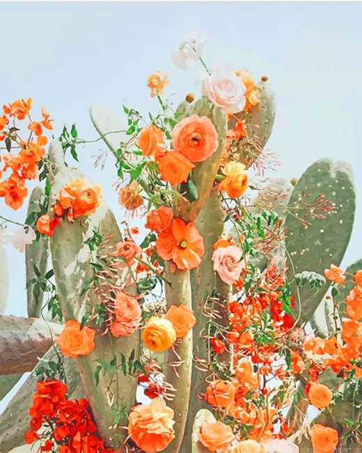 Aesthetic Cactus Flowers Painting By Numberss.png