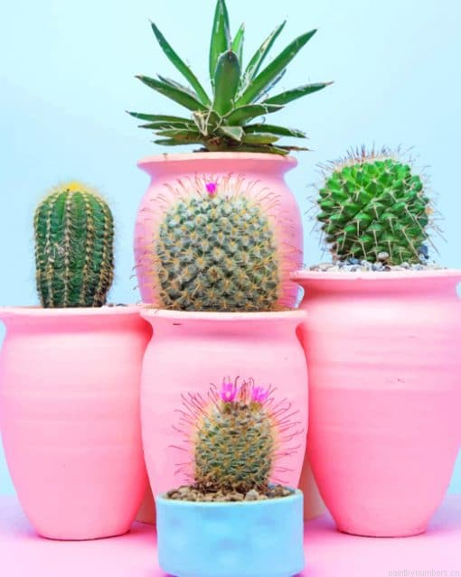 Aesthetic Cactus Painting By Numbers.png