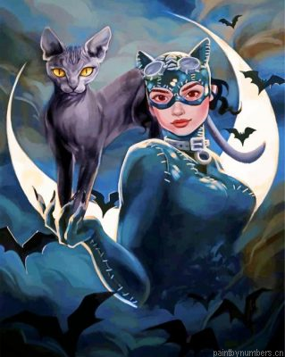 Aesthetic Catwoman Painting By Numbers.png