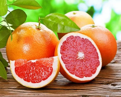 Aesthetic Citrus Painting By Numbers.png