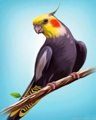 Aesthetic Cockatiel Bird Painting By Numbers.png
