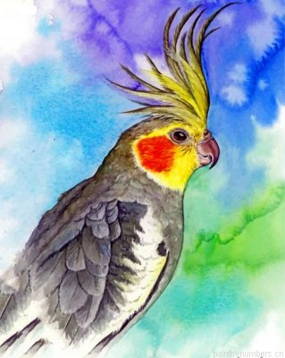 Aesthetic Cockatiel Painting By Numbers.png