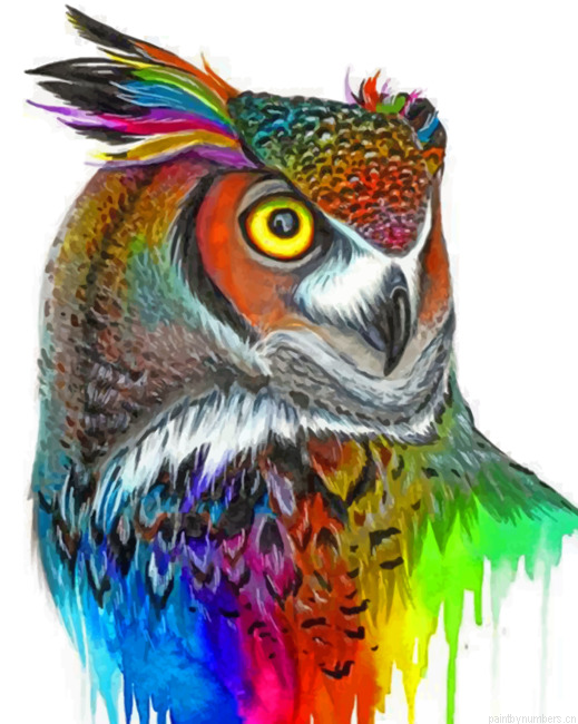 Aesthetic Colorful Owl Painting By Numbers.png