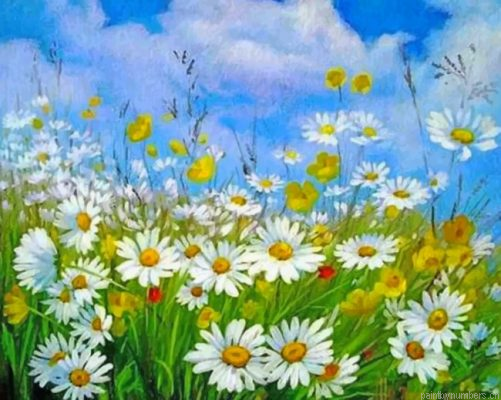 Aesthetic Daisy Field Painting By Numbers.png